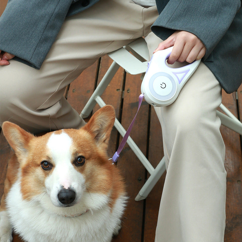 Correa Retráctil para Perros y Gatos con Collar y Luz LED – Pequeños y Medianos